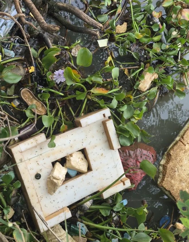 Polystyrene packaging and plastic debris caught in vegetation in a blocked waterway
